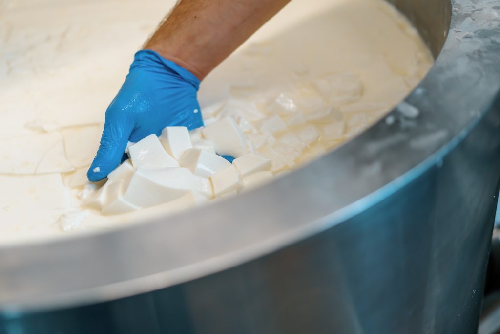 Conoscere i processi di coagulazione permette di apprezzare ancora di più la diversità del mondo caseario, valorizzando sia i formaggi più celebri che le piccole produzioni artigianali. Perché dietro ogni boccone di formaggio c’è una storia fatta di scelte, cultura e passione.